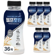 웰프로틴 그레인 단백질 쉐이크, 36개, 40g