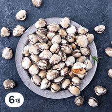 어부심 산지직송 갓 수확한 벌교 생물 새꼬막 (냉장), 1kg(중, 90~110알), 6개