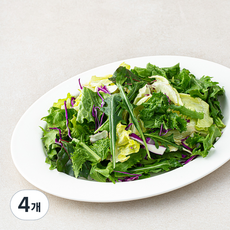 All바른농장 루꼴라 패밀리 믹스 샐러드, 340g, 4개