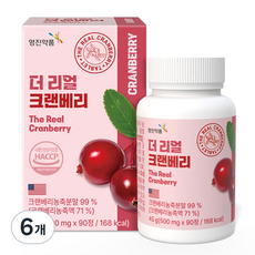 영진약품 더 리얼 크랜베리, 90정, 6개