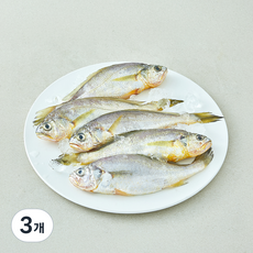 산지직송 일품 법성포 선별참조기 (냉장), 3개, 400g(대, 5미)