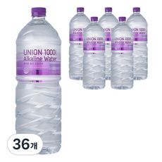 유니온천년알카리수, 2L, 36개