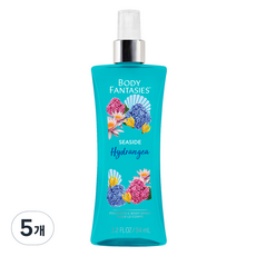 바디판타지 씨사이드 하이드렌지아 프래그런스 바디 스프레이 플로럴향, 94ml, 5개