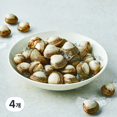 산지직송 부산 13번 중매인 동죽조개 (냉장), 4개, 800g