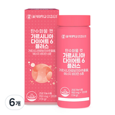 을지대학교 탄수화물 컷 가르시니아 다이어트6 플러스 114g, 120정, 6개