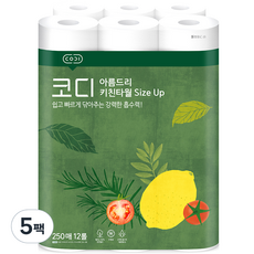 CODI 捲筒式廚房紙巾, 250張, 60捲