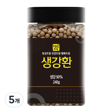 생생드림 생강환, 5개, 240g