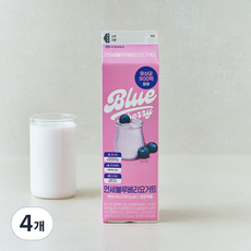 연세유업 블루베리 요거트, 4개, 1개입, 900ml