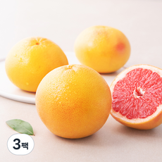 과일엔 스테비아 자몽 3입, 900g, 3팩