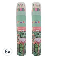 ARTMORE 專家用色鉛筆, 12色, 6個