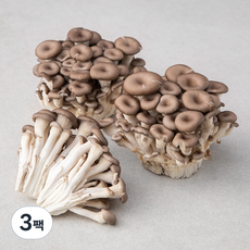 국내산 참맛 느타리버섯, 800g, 3팩