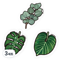 써니엔조이 제로웨이스트 셀룰로스 나뭇잎 수세미 3종 세트, 3세트