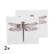 TATTLY DRAGONFLY梨子 2入, 單色, 2個