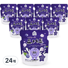 홈앤키즈 사르르쏙 요거트 블루베리, 20g, 24개, 블루베리맛