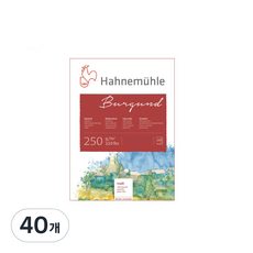 Hahnemuhle 勃根地水彩畫本 中紋 matt 250g, 40個