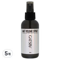 갸스비 매트 볼륨 스프레이, 5개, 145ml