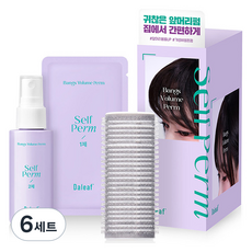 달리프 글램 뱅 볼륨 셀프펌제 1제 10ml x 5p + 2제 50ml + 헤어롤 세트 모든모발용, 6개