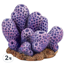 모모스 해면 피규어, 2개