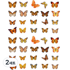 Happy J 裝飾室內蝴蝶貼紙 40入組, 2套, 虎斑蝶