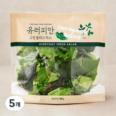 유러피안 그린 샐러드믹스, 180g, 5개