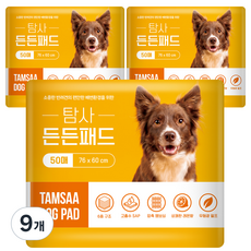 탐사 고흡수 든든패드 레몬향, 50개입, 9개