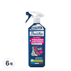 브리오신 폼타입 식초 라즈베리 세정제, 6개, 750ml