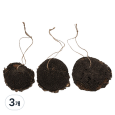 모로 해바라기 헤드 간식 3p, 70g, 3개