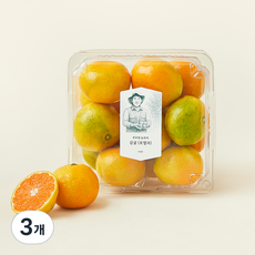 부무현 농부의 감귤, 800g(로열과), 3개