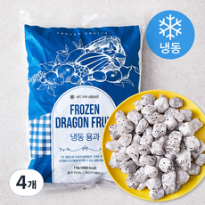 냉동 용과 (냉동), 1kg, 4개