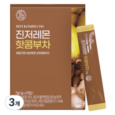 힐스랩 진저레몬 핫콤부차, 5g, 15개입, 3개