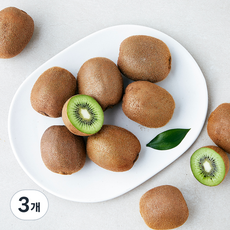 곰곰 제주 참다래 그린키위, 1kg, 3개