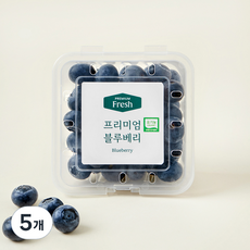 프리미엄 유기농 블루베리 대과, 100g, 5개