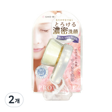 쇼바이 SPV리치 휩 브러쉬, 혼합색상, 2개