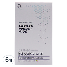 헤밀레 알파핏 파우더 4100 14p, 70g, 6개