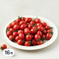 [로켓프레시]새벽경매 대추방울토마토, 16개, 750g