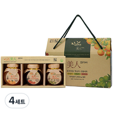 제주이야기 미인 화이바 꼬마 3종 액상차 선물세트, 미인 한라봉차 200g + 오미자차 200g + 매실차 200g, 4세트