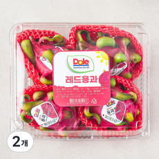 돌 레드용과 4개입, 1.7kg, 2개
