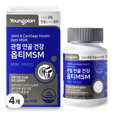영플랜 옵티 MSM 2000 관절 연골 건강, 4개, 90정