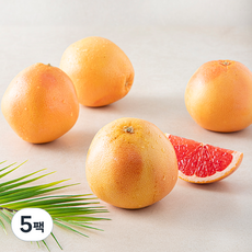 다조은 남아공산 자몽, 5팩, 1.5kg(4~5입)