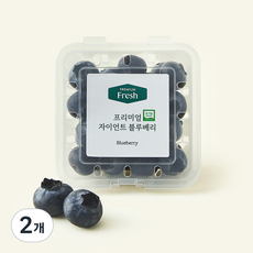 프리미엄 유기농 자이언트 블루베리, 100g, 2개