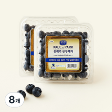 에스피프레시 칠레산 점보 유레카 블루베리, 8개, 125g