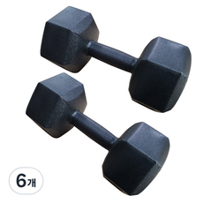 대한스포츠 육각아령, 2kg, 6개