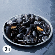 어부심 바다의 신선함을 가득 품은 홍합 (냉장), 1kg, 3개