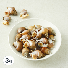 이프로마켓 동해안 당일바리 백골뱅이 생물 원물중량 1kg (냉장), 800g(소), 3개