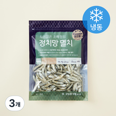 조혜정의멸치연구소 품질인증 정치망 멸치 중간멸치 (냉동), 150g, 3개