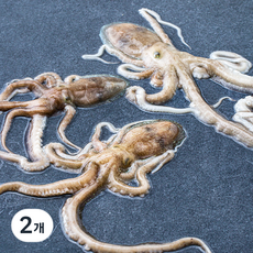 어부심 산지직송 살아있는 목포낙지, 350g(중, 3미), 2개