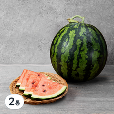곰곰 당도선별 수박, 5kg이상, 2개