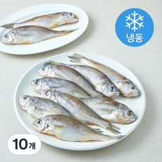 초록바다 굴비 2미 (냉동), 10개, 600g