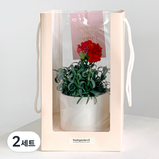 비에프에이 프레시가든 생화 카네이션 + 크리스탈 캐리어 + 화분 세트, 혼합색상, 2세트