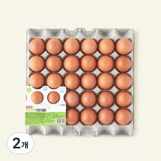 장연양계 무항생제 인증 신선대란 1.56kg, 2개, 30구